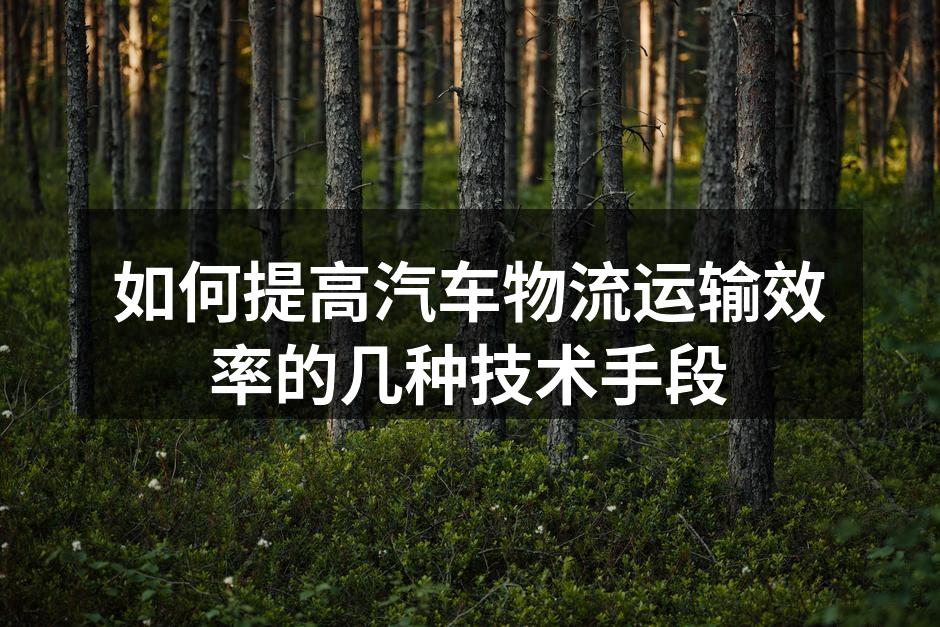 智能调度系统提升运输效率