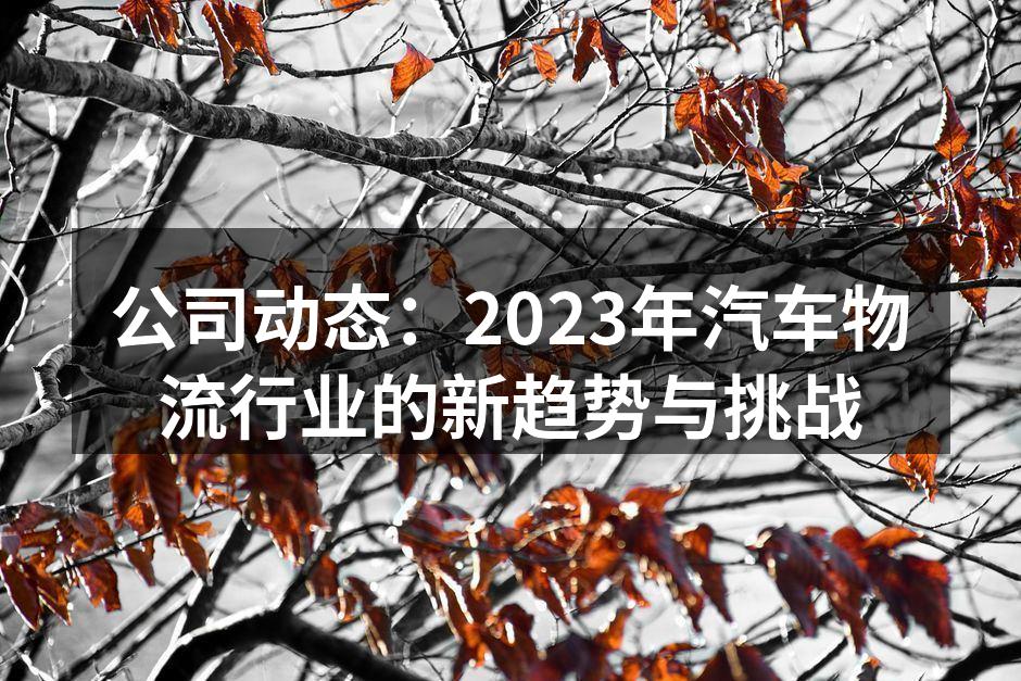 现代化汽车物流中心