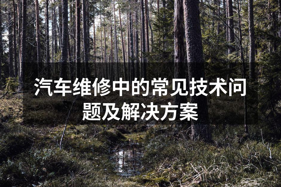 专业技师进行故障诊断