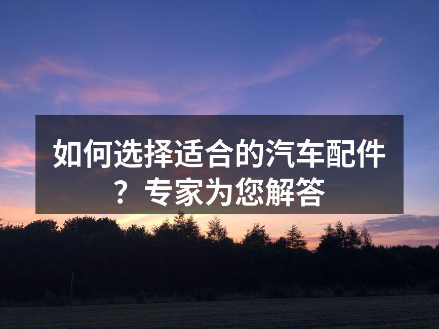 专业技师正在进行汽车配件更换